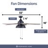 Prominence Home Brightondale, 52 in. Indoor/Outdoor Ceiling Fan with Light, Matte Black 51659-40